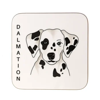 Dalmation Coaster